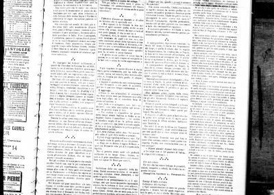 Fanfulla, 7 marzo 1879, Per la Regina